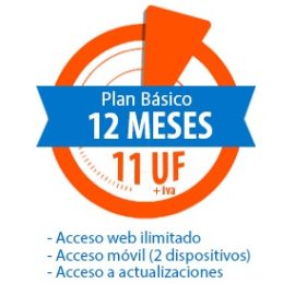 Plan Basico 12 meses